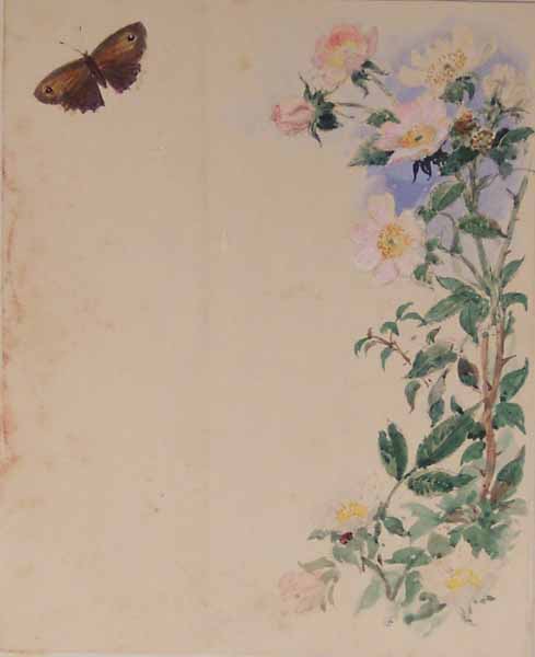 Wild Roses and Butterfly